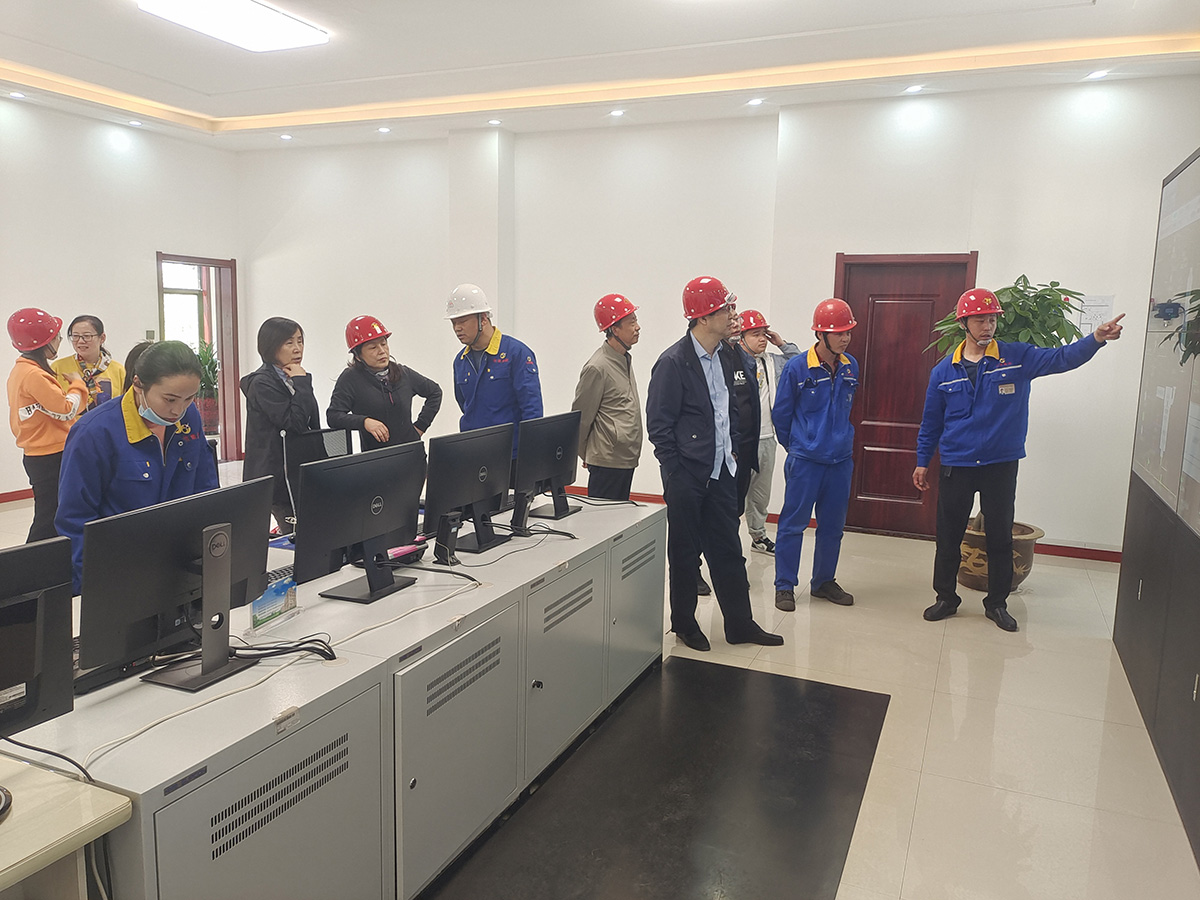 ���低排放验收专家会议